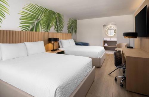 Downtown Hollywood Hotel | The Harrison Hotel Downtown Hollywood FL, an Ascend Collection Hotel
