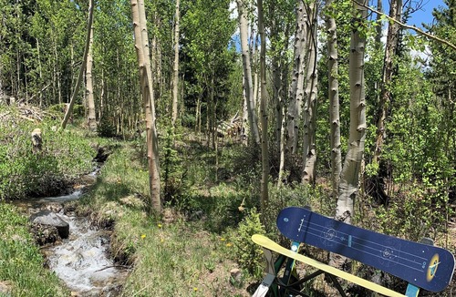 Alma House | The Snow Shack 2BR w Hot Tub, Stream, Fireplace, Steam Rm on 5 Acres Near Breck