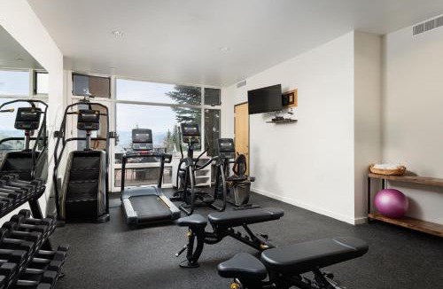 Snowmass Village House | Timberline Condominums Studio Loft Standard Unit 301
