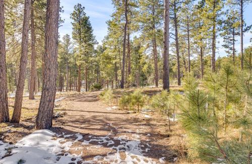 Colorado Springs House | Trail Access On-Site! Wooded Colorado Springs Gem