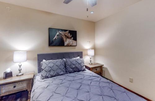Mountain Village Apartment | Trails Edge 3 - Trails Edge Stream