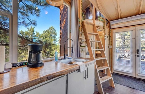 Larkspur Cabin | Treehouse Mountain Views Unique Ranch Experience