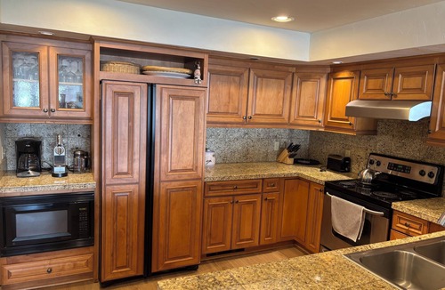 Mount Crested Butte Condo | True Ski-in/Ski-out Luxury 3-Br Condo