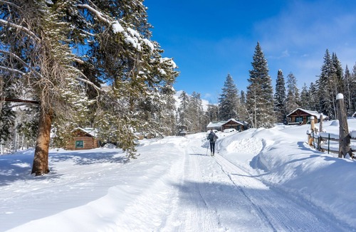 Pitkin County House | Twin Room : Beyul Retreat