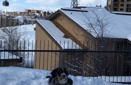 Steamboat Springs Apartment | Under the Gondola - Sleeping Giant Suite, Dog Friendly!