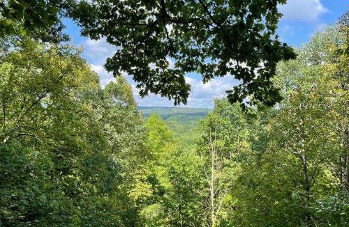 Cuyahoga Falls Other | Valley Overlook