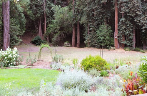 Glen Ellen House | Very Private Glen Ellen Estate