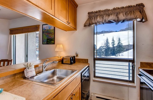 Crested Butte Condo | View Of Mt Crested Butte- 1 Br 1 Bedroom Condo - No Cleaning Fee! by RedAwning