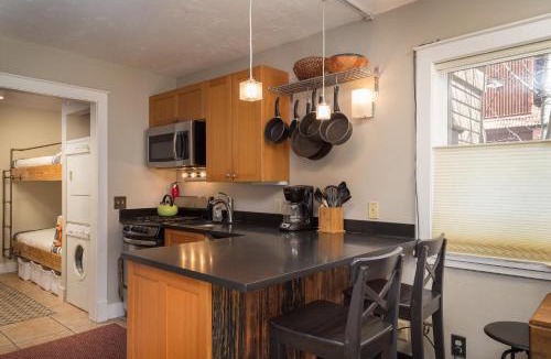 Telluride Apartment | Viking Lodge 109 - Viking Venue