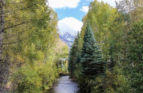 Telluride Apartment | Viking Lodge B218