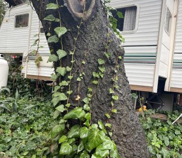 Ventura County House | Vintage RV Creekside Nature Retreat near Ojai next to Swim Holes Hike