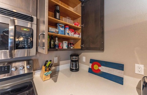 Mount Crested Butte Apartment | West Elk Warming House: Hot Tub, Dog Considered*