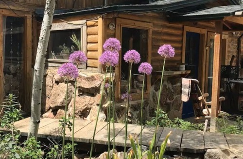 Rollinsville Cabin | Whispering Pines Lodge at Rollinsville- Rustic, Charming & Updated Cabin