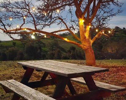 Paso Robles House | Whispering Wine