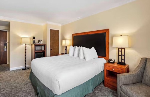 Eagle Hotel | Work-Ready Room by Scenic Ballooning Flights Near Brush Creek Park