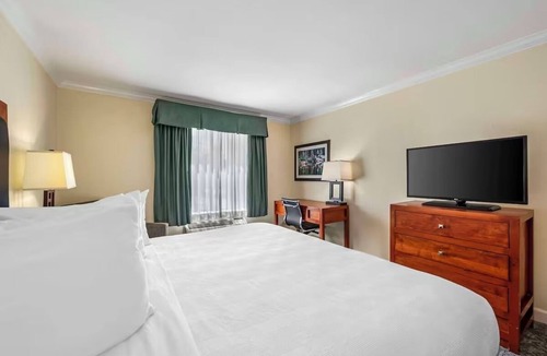 Eagle Hotel | Work-Ready Room by Scenic Ballooning Flights Near Brush Creek Park