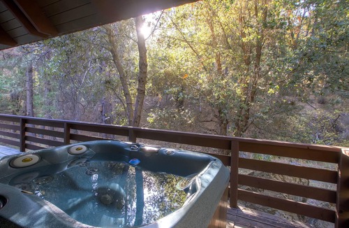 North Wawona House | Yosemite's Creekside Birdhouse