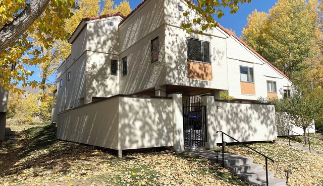 3 BR 2 BA Home in Edwards/Singletree, Seasonal Rental, Nov-May, Very Nice!