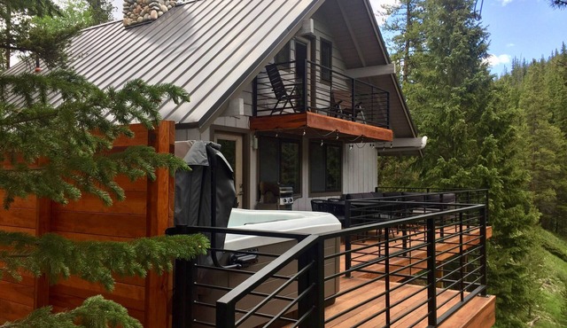 3Br 2Ba Mountain Modern Cabin on the Blue River