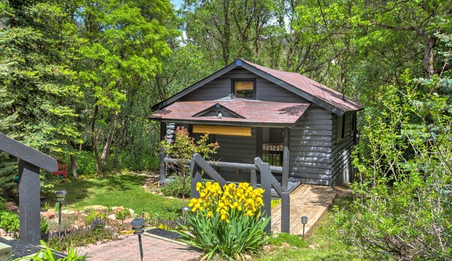 A hidden gem! Cabin nestled in the trees in Glenwood Springs.