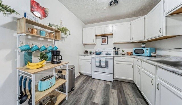 Adorable 2 bedroom Cleveland apt with King