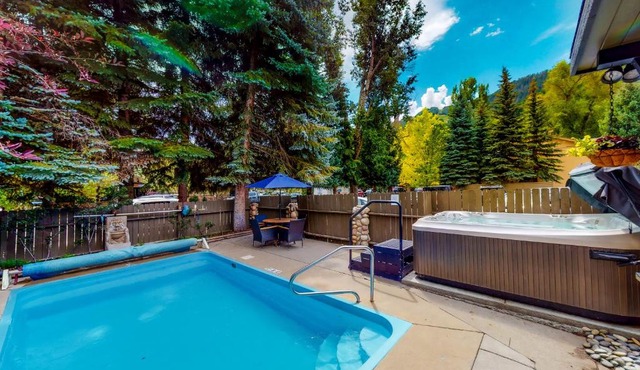 Aspen Mountain Lodge 401