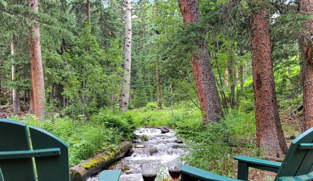 Awesome 2-bedroom cabin in delightful Dumont perfect for relaxing stays