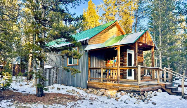 Baby Doe's 1bd Cabin, Peaceful Location