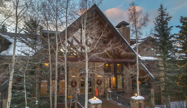 Bear Creek Lodge 301a 1 Bedroom Condo by Alpine Lodging Telluride