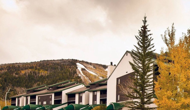 Beautiful 1 bedroom unit at resort, sleeps 4