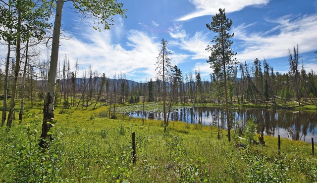Beautiful secluded setting on one acre that borders RMNP.