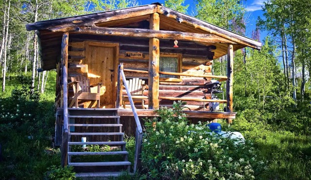 Burton Cabin - Secluded Rustic Charm