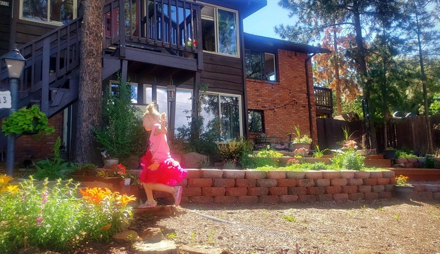 Cabin's entire, private lower level w/mountain view & cozy, comfortable living.