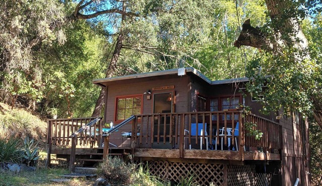 Charming 1 Bdrm Cabin at Lupin Lodge Clothing-Optional Naturist Resort Los Gatos