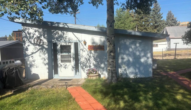 Charming 1-bedroom house with heat and WiFi in delightful Creede