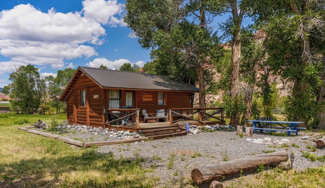 Charming riverfront 2-bedroom cabin in enchanting Dubois with WiFi