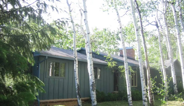 Classic Aspen 3-Bedroom w/Views of the Valley