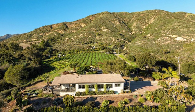 Coastal Zen & Avocado Orchards: A Luxury Wellness tay