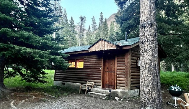 Comfortable Cabin next to Yellowstone National Park