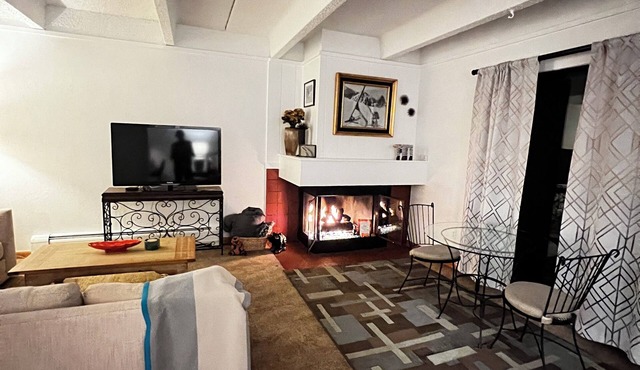 COPPER SKI MOUNTAIN EAST VILLAGE, PET FRIENDLY, VIEWS of SKY CHUTES, off I-70