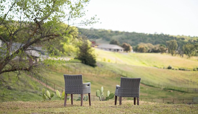 Country Living on 1 acre in Paso Robles w/AC, BBQ, starry nights, Dogs welcome
