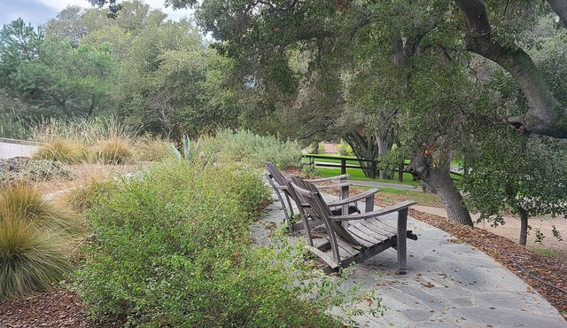 Cozy and serene 1-bedroom apartment over garage in terrific Atascadero