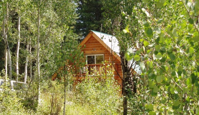 Cozy Cabin in the national forest