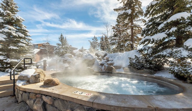 Cozy condo, world-class amenities, gondola to base