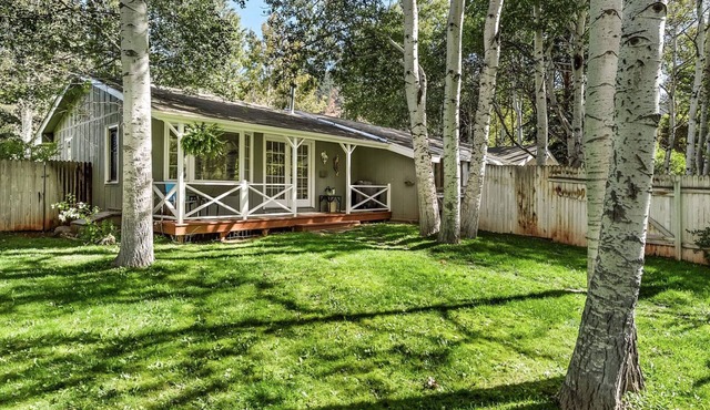Cozy cottage near bus stop, skiing & Aspen