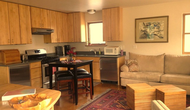 Cozy Modern Apartment ~ walking distance to Carbondale's restaurants/bars/sights