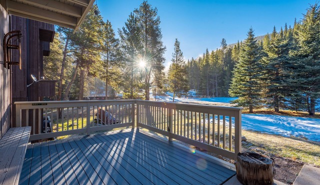 Cozy Ski-in/Walk-out condo, free wifi, & parking, great deck