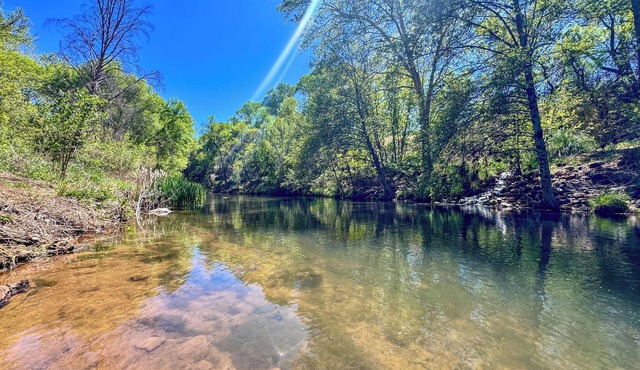 Creekside Container Retreat Hot Tub Dog-Friendly