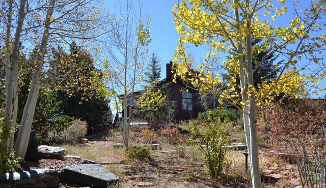 Custom built Estes Park Home! Family friendly and room for everyone!