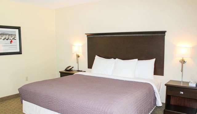 Discover the breathtaking views of Kelleys Island from the Glacier Suite 113